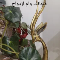 نیازمند ضامن وام ازدواج