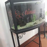 آکواریوم ۴۰ در ۱۵۰
