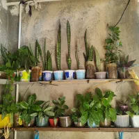 فروشی تیله|اسباب‌بازی بچه|سرپل ذهاب, |دیوار