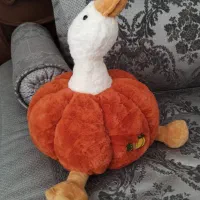 عروسک|اسباب‌بازی بچه|مشهد, وکیل‌آباد|دیوار