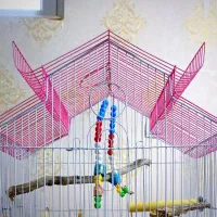 قفس بزرگ و لانه و جلیقه پرواز و همه وسایل قفس باهم