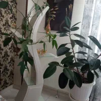 استند گل و دکوری