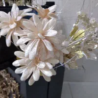 گل شکوفه