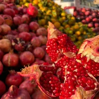 نیازمند باشد