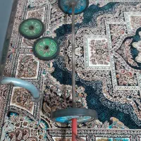 میز پرس وزنه هالتر