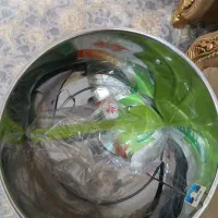سبزی خوردکن نو|خردکن، آسیاب، غذاساز|اندیمشک, |دیوار