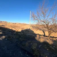 زمین حاشیه خیابان امام رضا|فروش زمین و ملک کلنگی|تربت‌حیدریه, منظر|دیوار