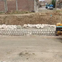 5نفر کاری برای کار