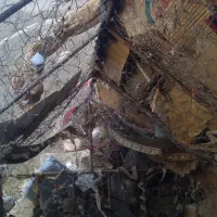 قفس مرغ وکبوتر|لوازم جانبی حیوانات|میرجاوه, |دیوار