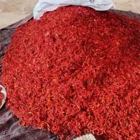 پاپریکا|خوردنی و آشامیدنی|اردستان, |دیوار