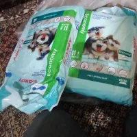 وسایل وغذا وپت سگ توله