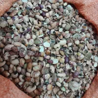 ضایعات حبوبات جهت مصرف دام