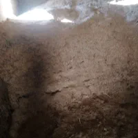 کاه گندم و مخلوط علف و یونجه|لوازم جانبی حیوانات|سلماس, |دیوار