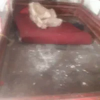 سه چرخه csp|موتورسیکلت|مراغه, |دیوار