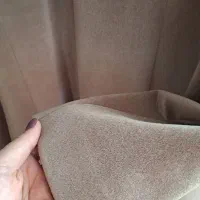 پالتو|لباس|خوی, |دیوار