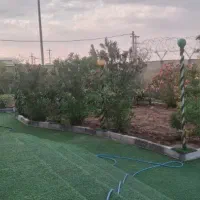 زمین-کشاورزی