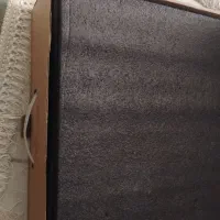 تاریخ زن کارتلیژی