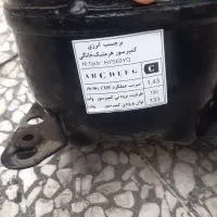 تعمیر انواع یخچال و لباسشویی (نمایندگی مجاز)|خدمات پیشه و مهارت|رودسر, |دیوار