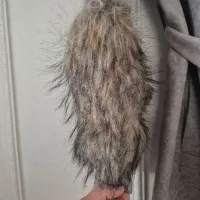 پالتو|لباس|اصفهان, میرعماد|دیوار