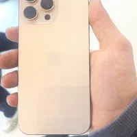 16 promax پرومکس دیزرت بلک فرایدی