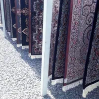 قالیشویی گل سرخ|خدمات نظافت|زاهدان, |دیوار