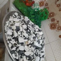 اکواریوم|ماهی|قم, دروازه ری|دیوار