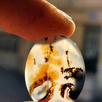 نگین  شجر  عقیق   انگشتر|جواهرات|شیراز, ریاستی|دیوار