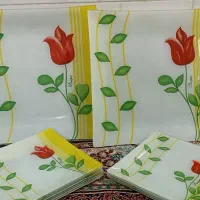 دیس بزرگ و پیش دستی