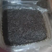 سبزی قرمه|خوردنی و آشامیدنی|رشت, دیانتی|دیوار