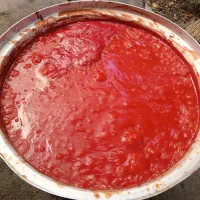 رب خانگی