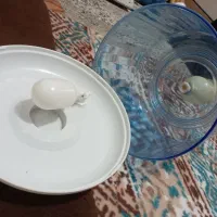 بشکه آب سردکن