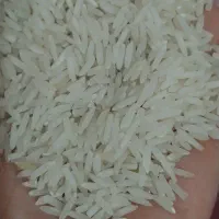 فروش برنج  هاشمی آستانه|خوردنی و آشامیدنی|تهران, هفت چنار|دیوار