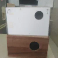 لونه عروس هلندی  و لونه مرغ عشق