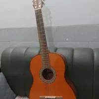 گیتار بنبرگ