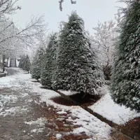 راهنمایی کافه و گردش