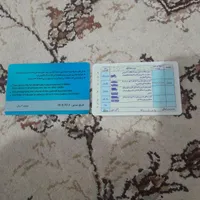 پیداشده