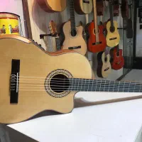 گیتار حرفه ای واشبورن