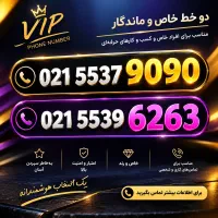 فروش  دو خط خوش خوان تبلیغاتی باهم
