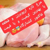 مرغ کشتار روز با قیمت فاکتور کشتارگاه(عمده و خرده)|خوردنی و آشامیدنی|اهواز, کوی ترابری|دیوار