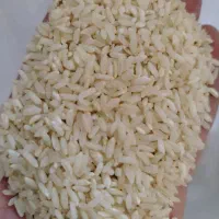 برنج چمپا لردگان|خوردنی و آشامیدنی|خمینی‌شهر, |دیوار