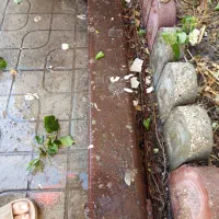 فروش اهن دست دوم|مصالح و تجهیزات ساختمان|گنبد کاووس, |دیوار