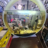 اکواریم کلاسیک دایره ای|ماهی|شیراز, شهرک جماران|دیوار