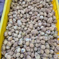 فروش انجیر درجه یک مشکان