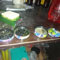 سیمرغ چهارتیکه|کلکسیون اشیاء عتیقه|شیراز, شهرک مدرس|دیوار