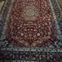 قالی ۱۲ متری|فرش|بندر ماهشهر, |دیوار