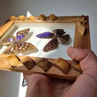 تابلو پروانه طبیعی|تابلو، نقاشی، عکس|تهران, صادقیه|دیوار