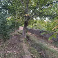 یک قطعه باغ به متراژ۹۴۰متر  واقع در روستای رود|فروش زمین و ملک کلنگی|نیشابور, فضل|دیوار