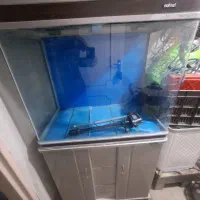 اکواریوم
