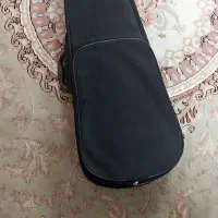 کاور ویالون