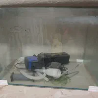 اکواریوم فروش فوری|ماهی|قائن, |دیوار